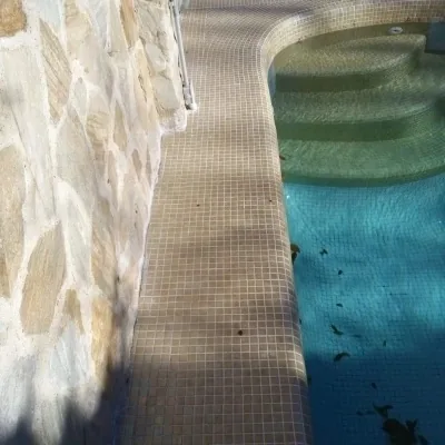 Galería-1